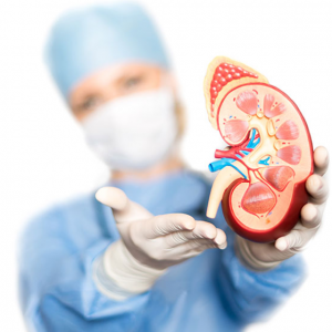 How is Kidney Transplant Performed?