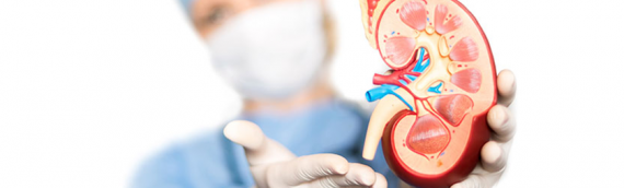 How is Kidney Transplant Performed?